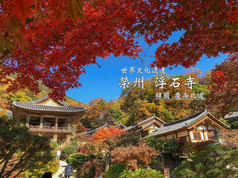 慶尚北道遊／宿,榮州遊／宿,韓國旅行,韓國賞楓葉 @Helena's Blog