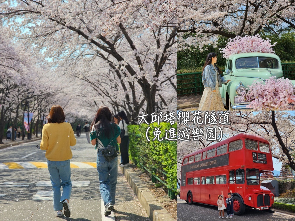 大邱,大邱旅行,大邱旅遊,大邱自由行,大邱遊／宿,櫻花,韓國,韓國旅遊,韓國綜合,韓國自由行,韓國賞櫻花 @Helena's Blog