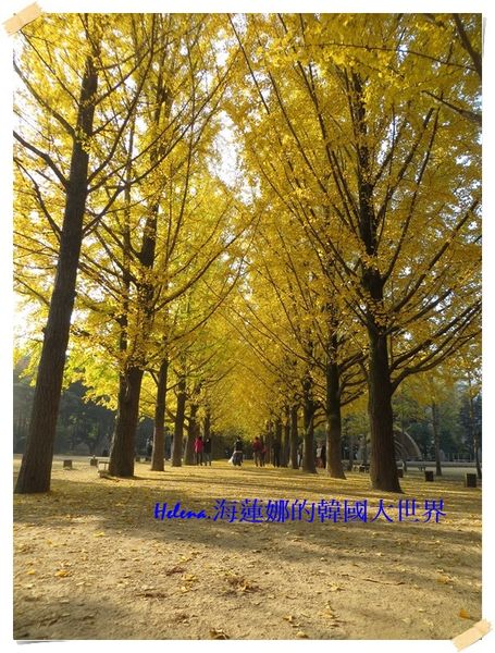 交通,松亭,海雲台,火車站,釜山,韓國 @Helena's Blog