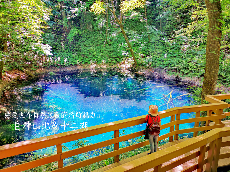 JR五能線之旅,五能線,十二湖,夏日女子小旅行,日本,日本旅行,景點,東北,東北遊／宿,白神山地,青森 @Helena's Blog